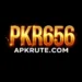 pkr656 game official logo download